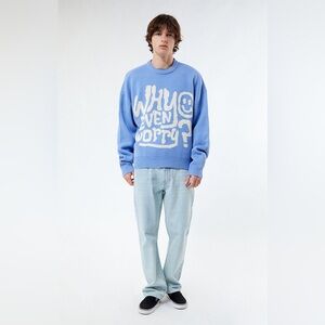 Pacsun Why Even Worry Cropped Ribbed Knit Crewneck Sweater